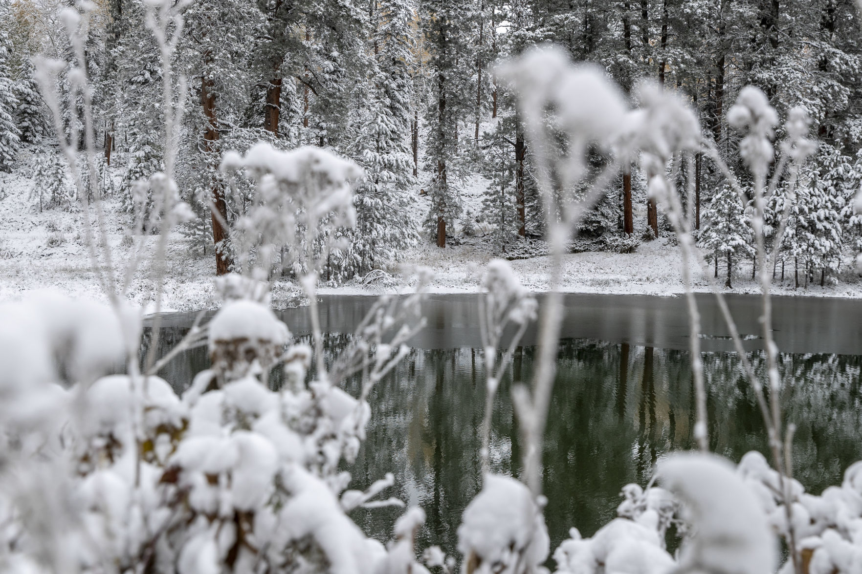 Autumn snow
